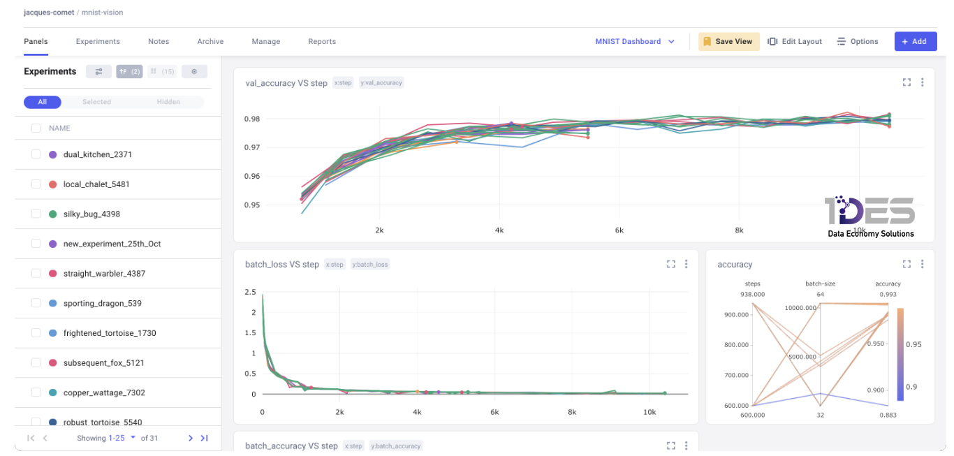 Unlocking the Power of ML Visualization with Comet: How We Optimize and Understand Our Models at 1DES